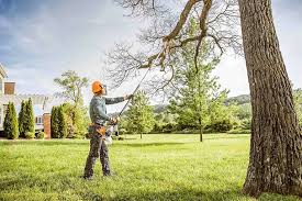 Best Hazardous Tree Removal  in Barnesville, GA