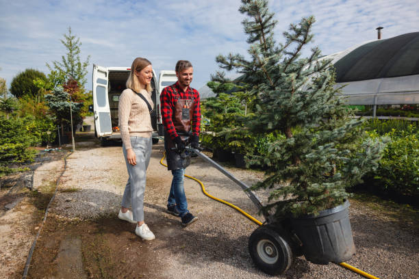 Best Tree and Shrub Care  in Barnesville, GA